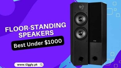 Best Floor Standing Speakers Under $1000-Top 8 Reviewed