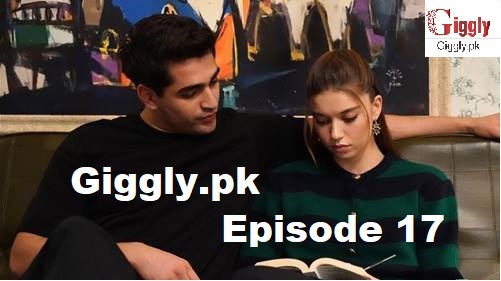 Yali Capkini Episode 17 with English Subtitles