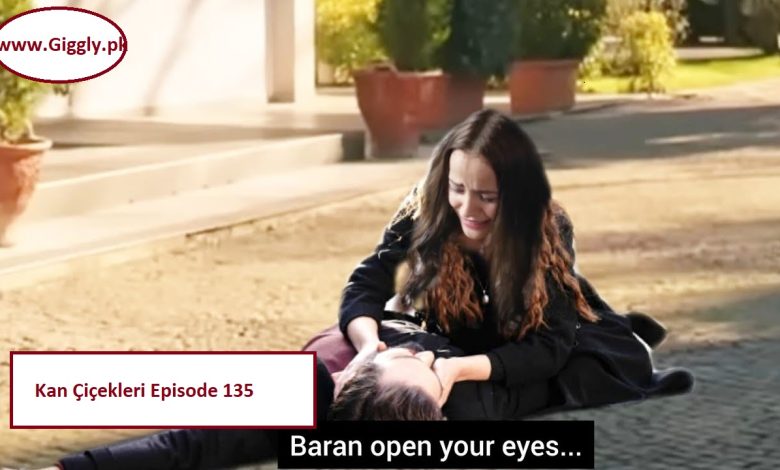 Kan Çiçekleri Episode 135 with English Subtitles